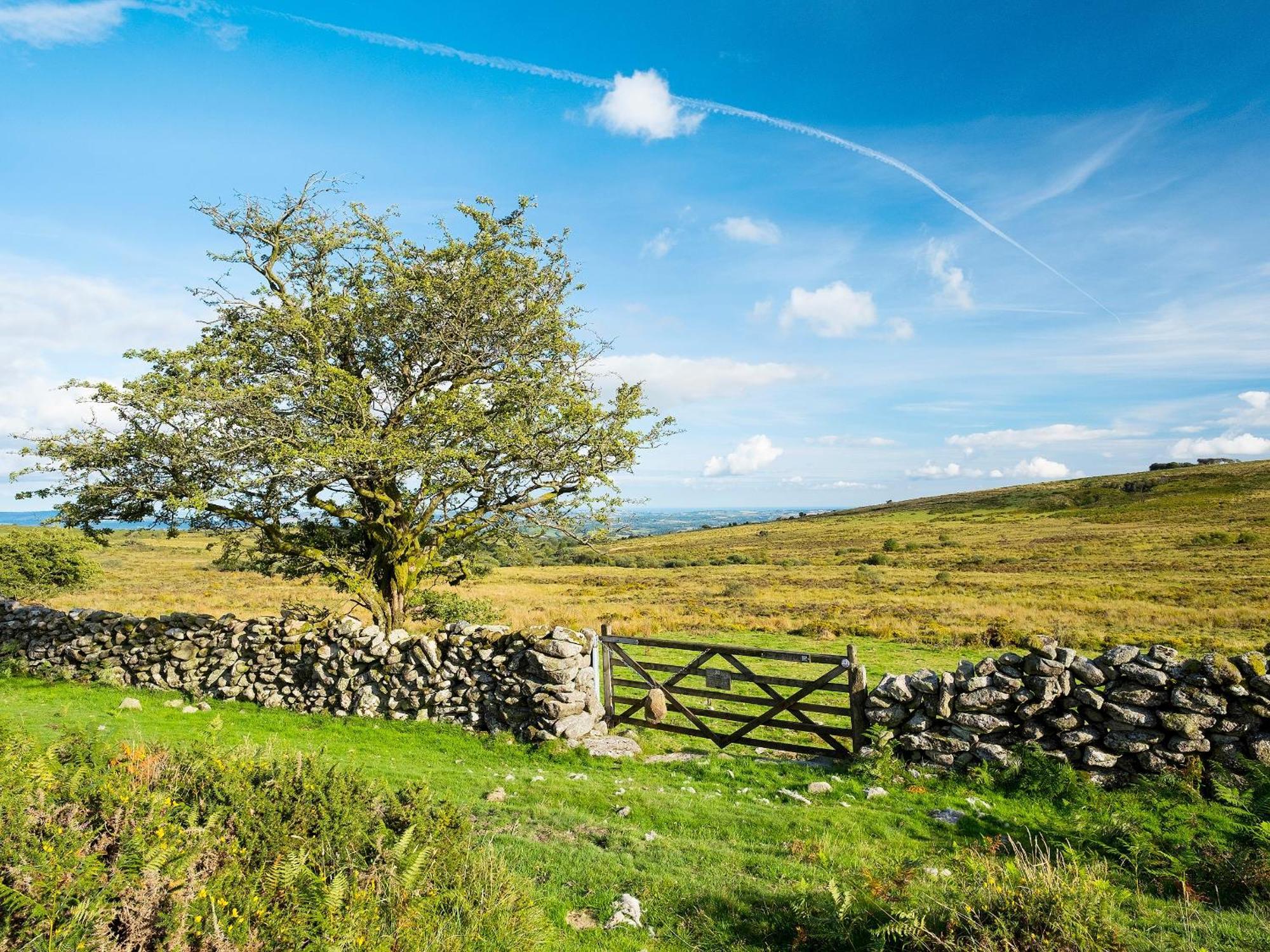 Chapel Cottage Lydford Bagian luar foto